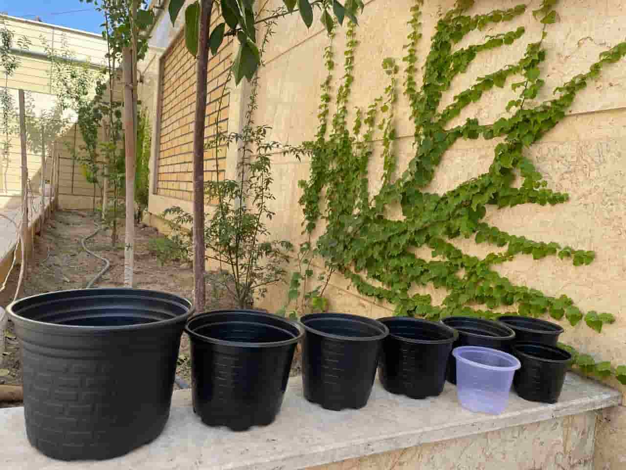تصویر 4 از فروش گلدان پلاستیکی گلخانه ای + قیمت خرید به صرفه